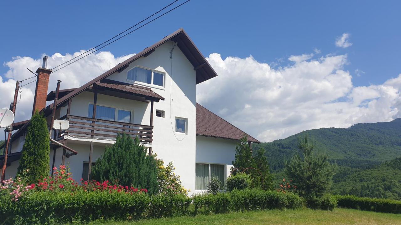 Hotel Valea Doamnei Nucşoara Exteriér fotografie
