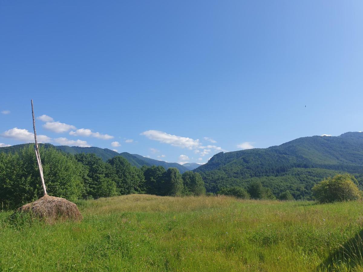Hotel Valea Doamnei Nucşoara Exteriér fotografie