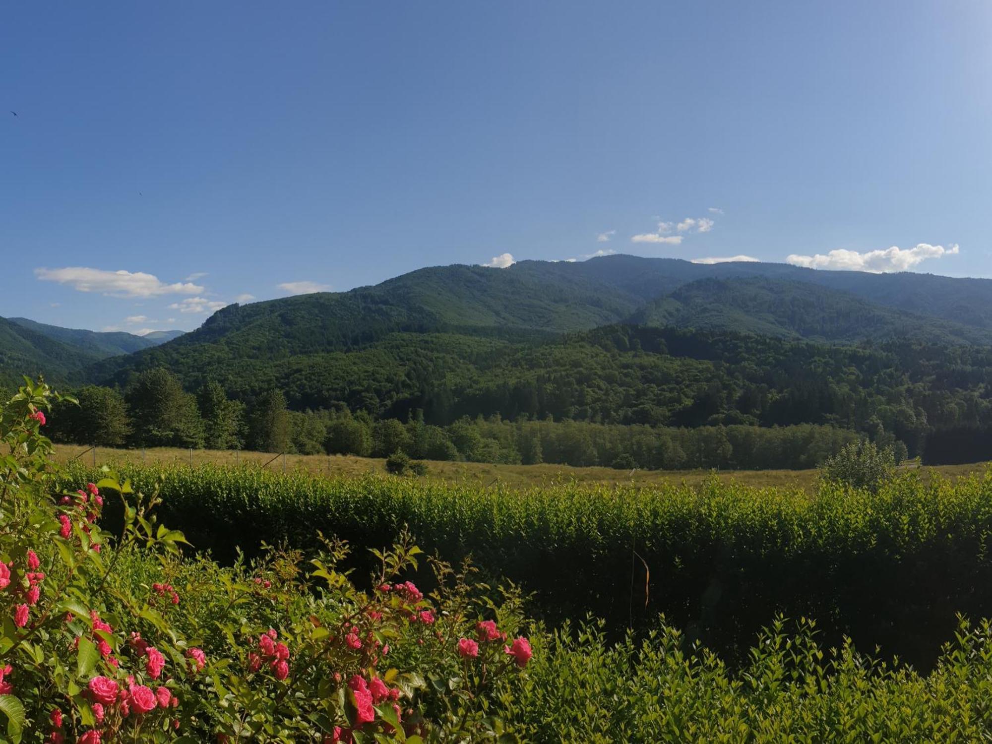 Hotel Valea Doamnei Nucşoara Exteriér fotografie