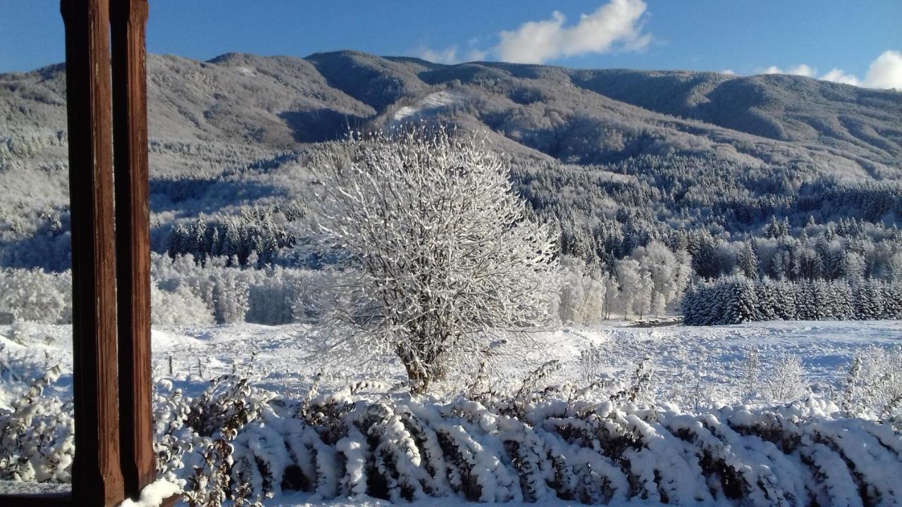 Hotel Valea Doamnei Nucşoara Exteriér fotografie