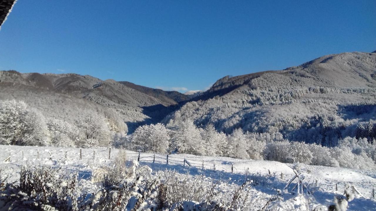 Hotel Valea Doamnei Nucşoara Exteriér fotografie